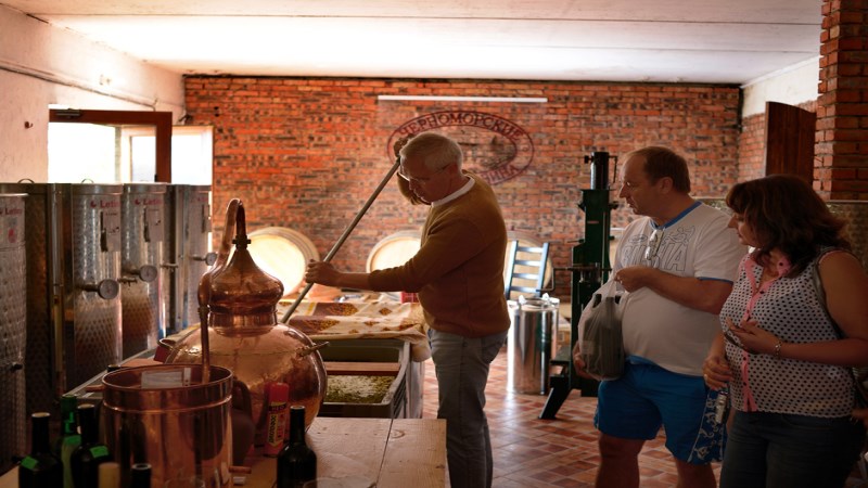 Геннадий Опарин, владелец винодельческой усадьбы «Семигорье», показывает гостям как правильно перемешивать виноград, который поставили на брожение.