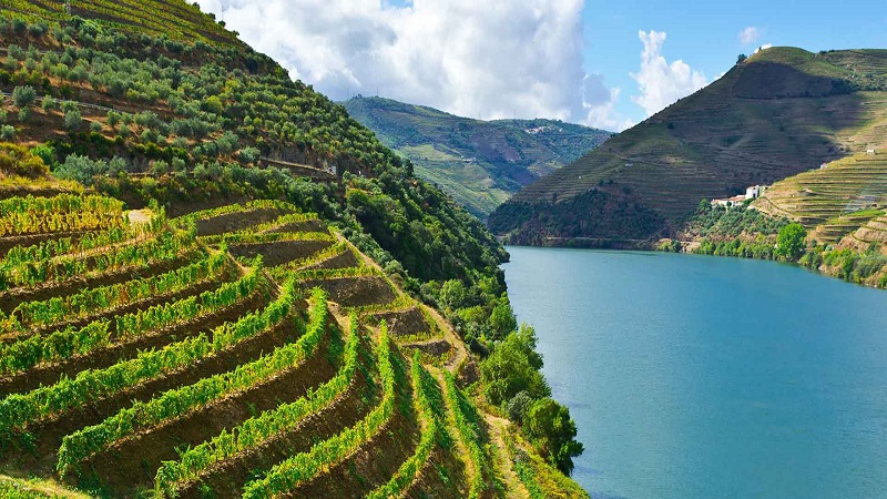 Douro-Valley-Portugal-Hero